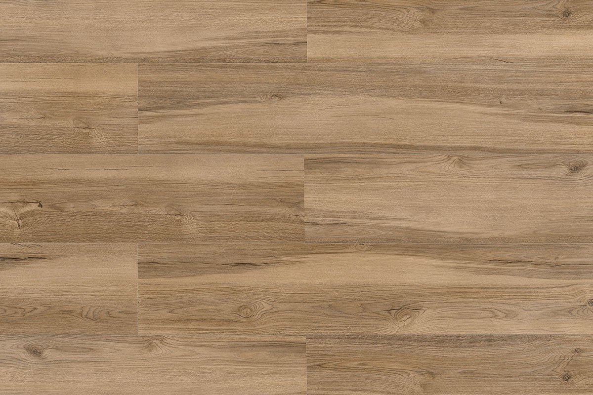 7865-new-evidence-click-smart-oak-20240308202756