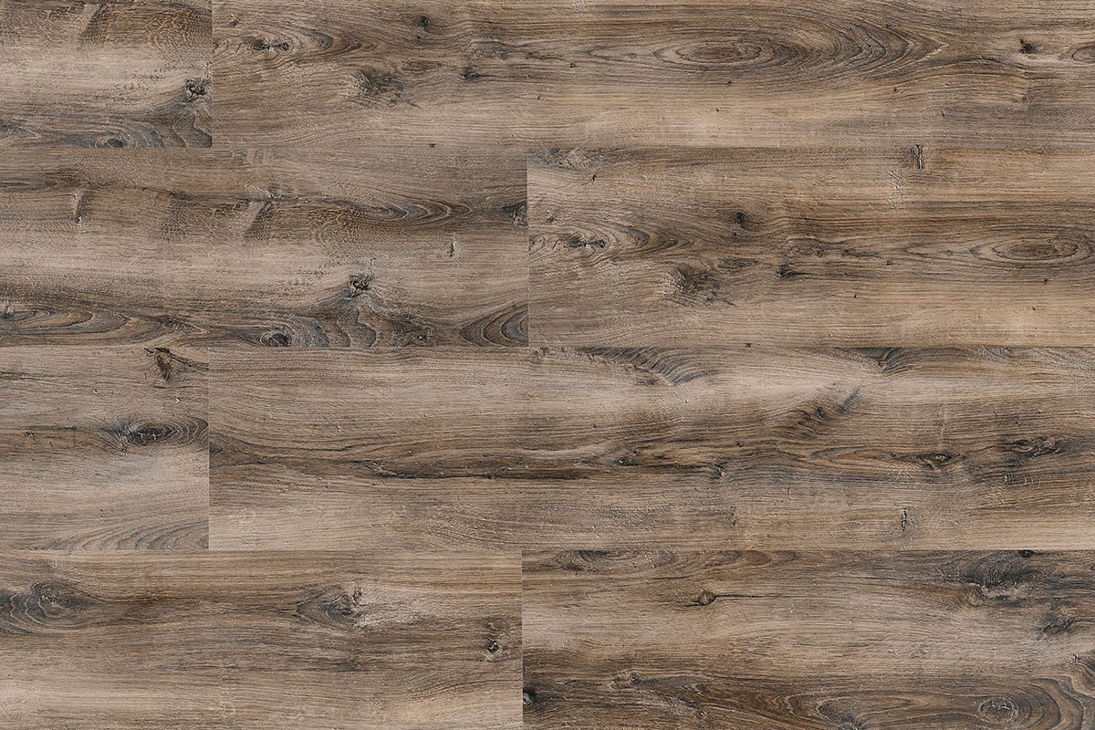 7897-new-evidence-click-celtic-oak-20240311172714